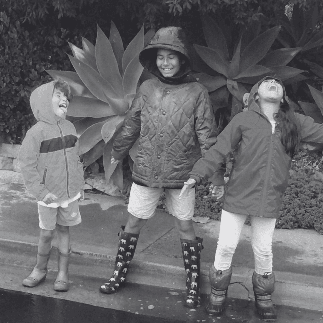 Fisioterapia profesional